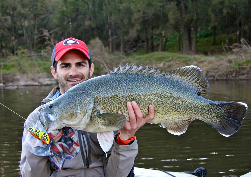 Winter In The Willows A Murray Cod Fishing Story Team Goodang Fishing
