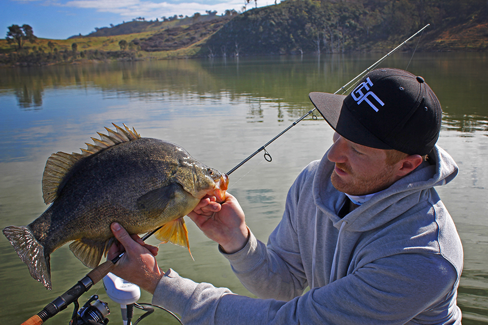 Rory Holds a large golden perch caught on his Nitro Ulltrabream Finesse
